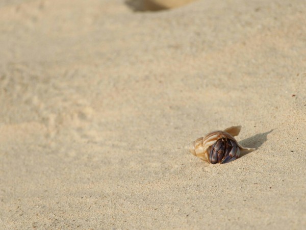 PicsPlay_1349703363118