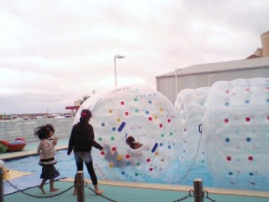 HI381128 HI381132.JPG