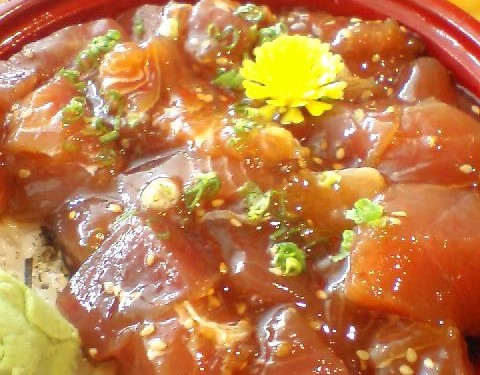 新鮮魚介類が揃う泊漁港で美味いマグロを食す！