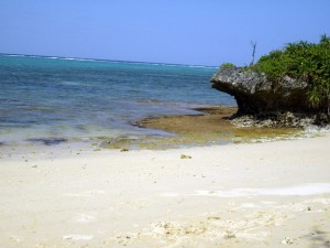 やっぱ夏でしょ♪