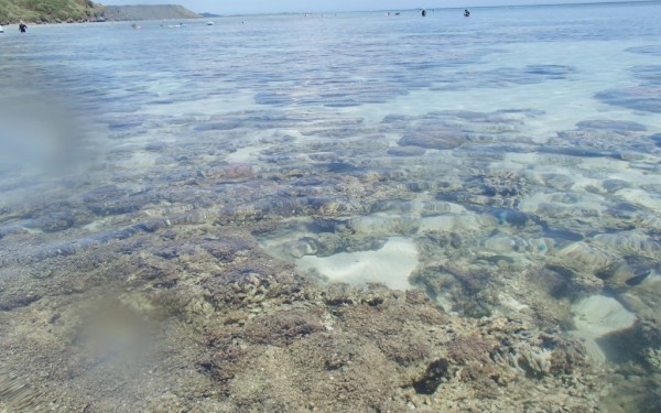新城海岸
