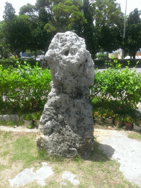 IMAG0308
