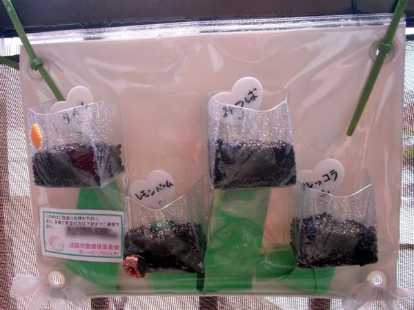 20130919_hana_beranda