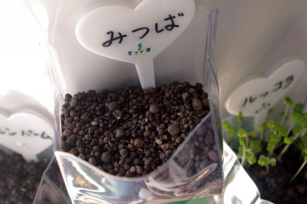 20130923_hana_mitsuba