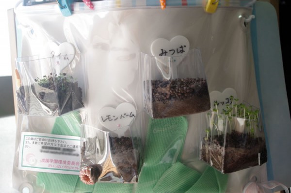 20130923_hana_zentai