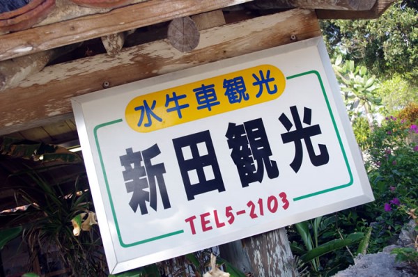 taketomi_suigyusha_02