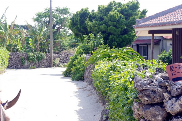 taketomi_suigyusha_04