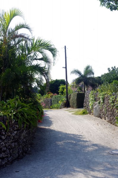 taketomi_suigyusha_05