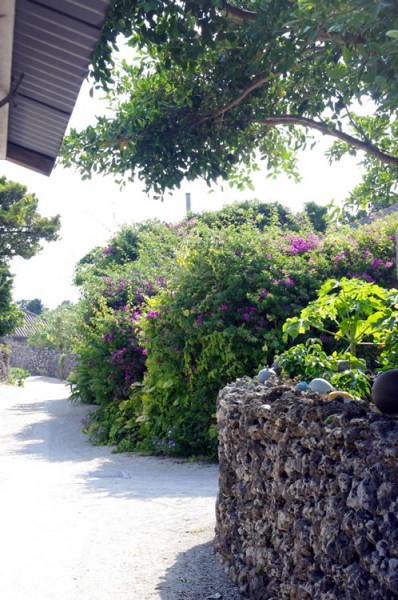 taketomi_suigyusha_06