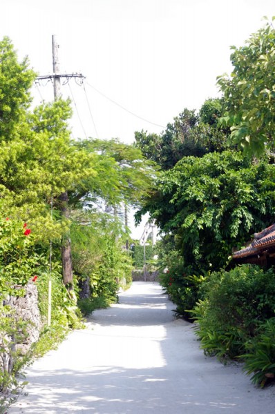 taketomi_suigyusha_07