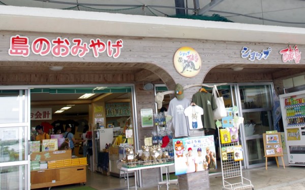 【西表島】ショップ西表島の看板はイリオモテヤマネコ