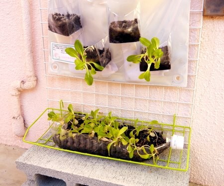 ガーデニング? メイクマン具志川店