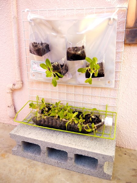 1532110_574801209262066_1519599646_n