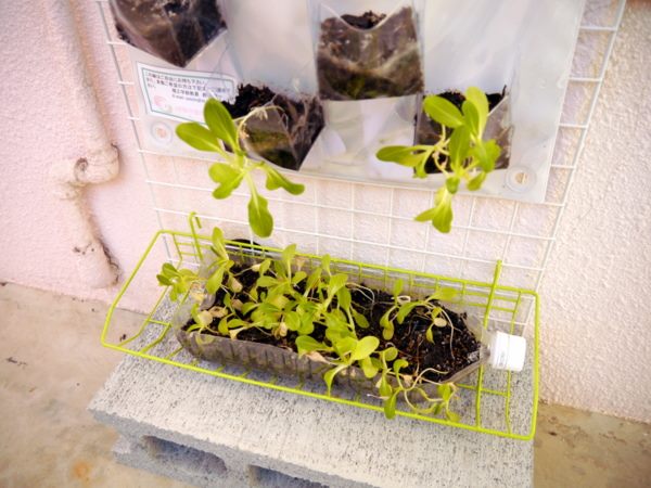 1544958_574801222595398_1912971441_n