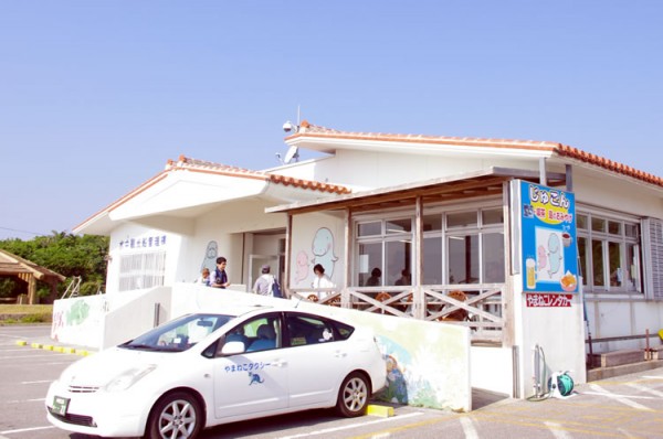 iriomote_yamaneko_taxi_01