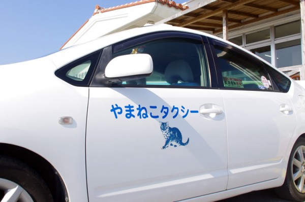 iriomote_yamaneko_taxi_02