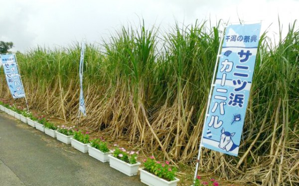 第24回サニツ浜カーニバル(宮古島)