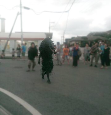 島尻の伝統行事「島尻パーントゥ」（宮古島）