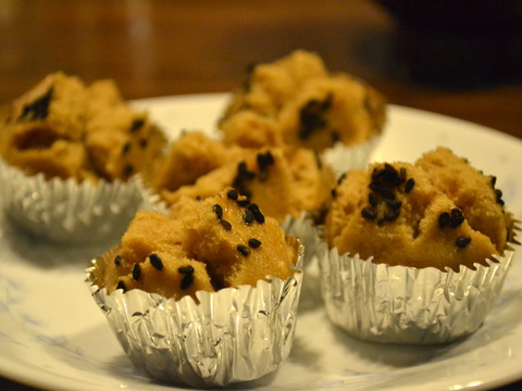 ぷー太郎20140628sk15k