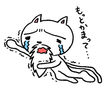 cat04