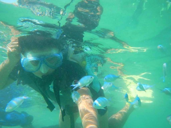 06e0cb19ffd05897195da9402c499527