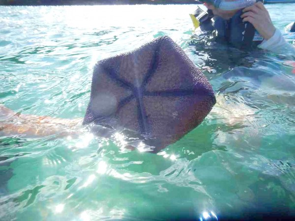 dc0154079177bee2d11428069430db22