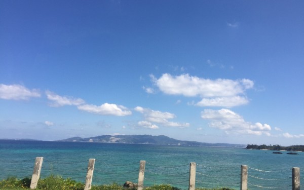 運転できなくてもバスツアーで美ら海水族館にも行けて大満足!|沖縄旅の思い出フォトコンテスト
