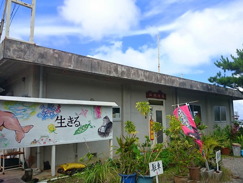 江州の花20150705sk11k