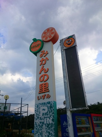 みかんの里20151126sk12k