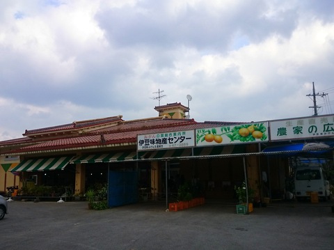 みかんの里20151126sk11k