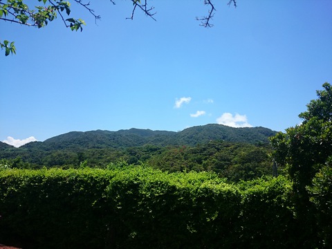 四季の彩20150813sk3k