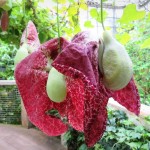 45d9ff13edef6e6d835696a4ae73937a