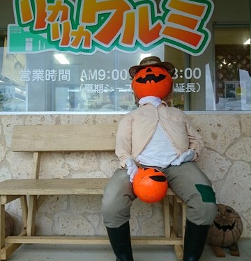 地元食材と絶景が魅力の「Full里」（今帰仁村）