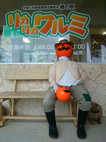 ワルミ20151022sk9k