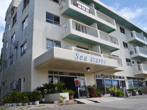 Seagrapes20160809sk2k