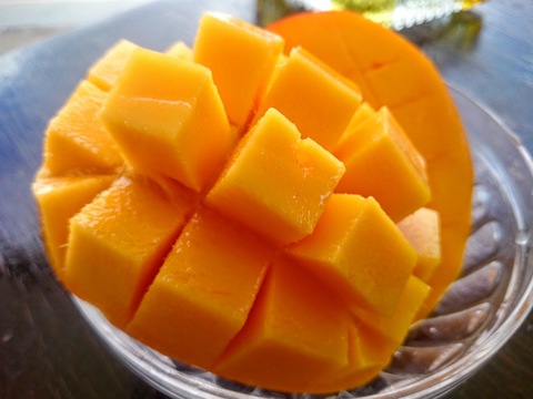 Seasgrapes20160801sk1k