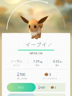 ポケモンGO？　沖縄でGO？　ピカチュウをゲット？