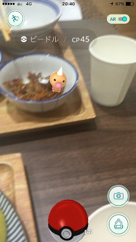 pokemon_go_rycom_biidoru