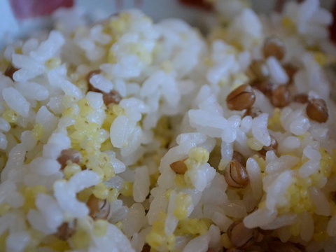 いーじまとぅんが20160831sk6k