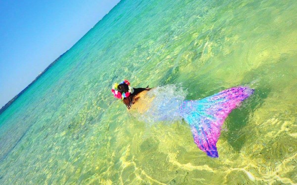 いつまでも思い出に残る体験|沖縄旅の思い出フォトコンテスト