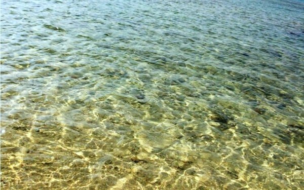 海が大好き。透明で綺麗な海に感動!|沖縄旅の思い出フォトコンテスト