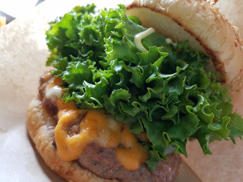 20170530_113724-780x585