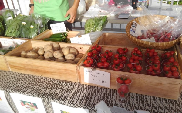 素敵な景色を眺めながら、朝市（豊見城市 瀬長島）