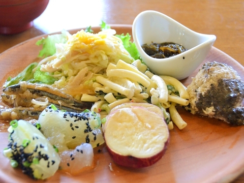 農家の食卓20170730sk3k