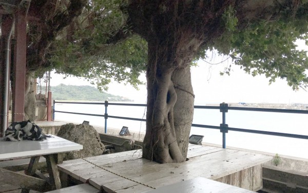 もずくそばの店くんなとぅ(南城市)