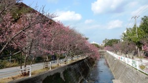 DSCN8826