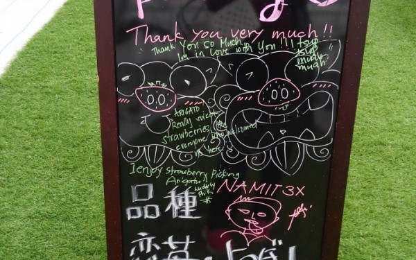 那覇から30分の場所で いちご狩り(南城市)