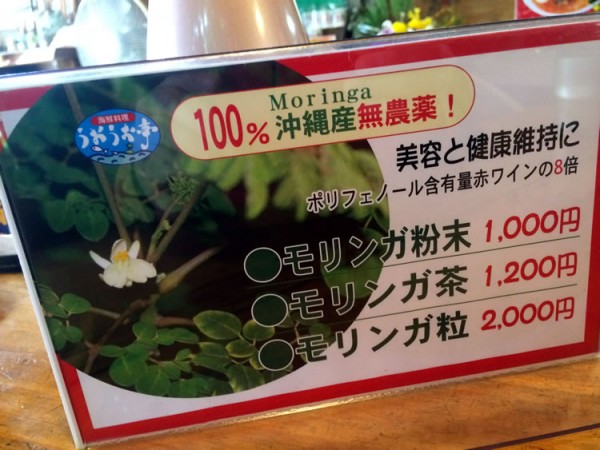 mokkai_moringa_02