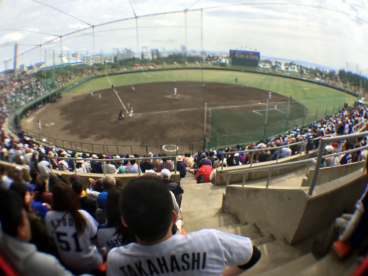 2018_0224_dragons_02