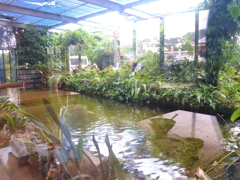 やまびこ20180527sk15k